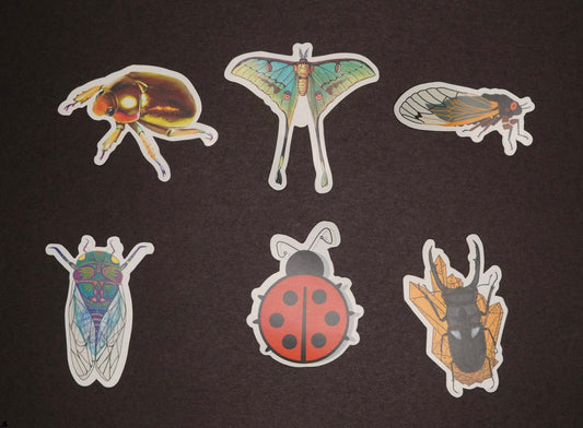 Insect Stickers - Frognose Exotics